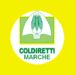 Coldiretti Marche chiede lo stato di emergenza sugli ungulati