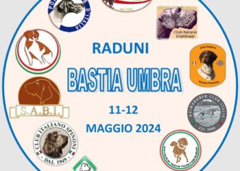 Enci al centro della scena: prima esposizione cinofila venatoria a Caccia Village 2024
