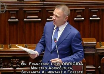 Il Ministro Lollobrigida fa il punto sull’emergenza peste suina