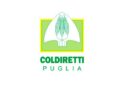 Coldiretti, dai selvatici danni da 30 milioni di euro in Puglia
