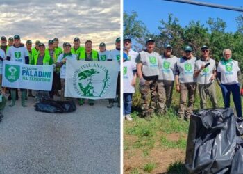 Paladini del Territorio. Anche a Bisceglie e Bologna i cacciatori ripuliscono boschi, strade e fossi