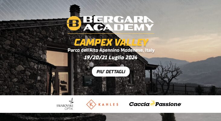Bergara Academy