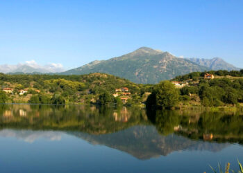 Preoccupazione per lo stop all’abbattimento dei cinghiali nell’area dei Cinque Laghi di Ivrea