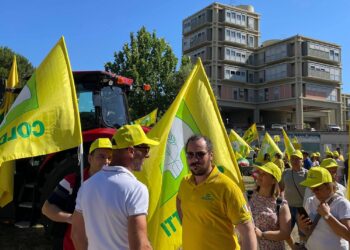 Mobilitazione Coldiretti Calabria contro i cinghiali: “Previste circa 4mila persone”