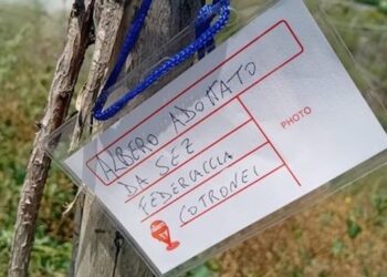 FIDC Cotronei, i cacciatori promuovono l’iniziativa “Adotta un albero”