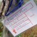 FIDC Cotronei, i cacciatori promuovono l’iniziativa “Adotta un albero”