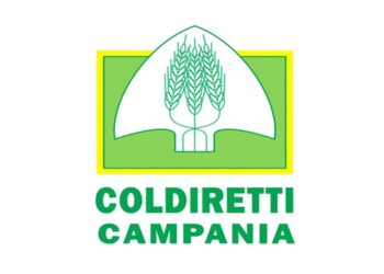 Coldiretti Campania chiede con urgenza un piano di contenimento dei cinghiali