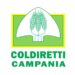 Coldiretti Campania chiede con urgenza un piano di contenimento dei cinghiali