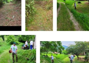 A Barghe (BS) i cinghialai ripristinano sentieri e strade di montagna