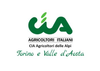 Cinghiali, CIA delle Alpi: “Non serve commissariare ATC e comparti alpini”
