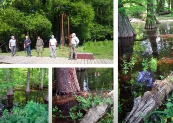 Il Bosco Taxodi di Paratico (Brescia): un caso virtuoso di gestione grazie ai cacciatori