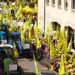 Cinghiali, SOS coltivazioni: migliaia di agricoltori in piazza