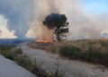 Incendio devasta 70 ettari di terreno nell’Agrigentino, Arci Caccia: “Il piromane dovrebbe sputarsi in faccia”