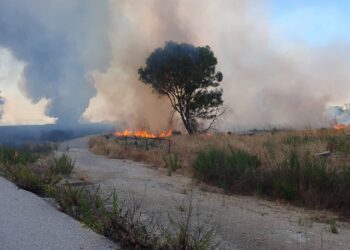 Incendio devasta 70 ettari di terreno nell’Agrigentino, Arci Caccia: “Il piromane dovrebbe sputarsi in faccia”