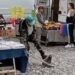 Uccise una nutria a bastonate: 72enne rischia 2 anni di carcere e 45mila euro di multa