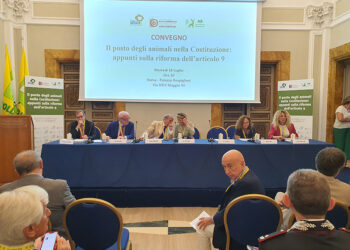 Tra tutela della biodiversità e approccio scientifico: il posto degli animali nella Costituzione