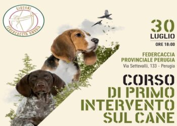 A Perugia un corso sulle emergenze veterinarie: come prendersi cura degli ausiliari da caccia