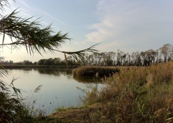 Accordo tra Comune di Fiumicino e cacciatori per la gestione dell’area parco