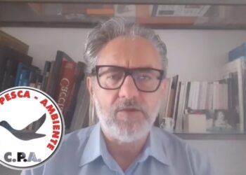 Piccole quantità, Caccia Pesca Ambiente denuncia ISPRA