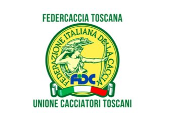 Cinghiali, Federcaccia Toscana: “Ripartiamo dai dati”