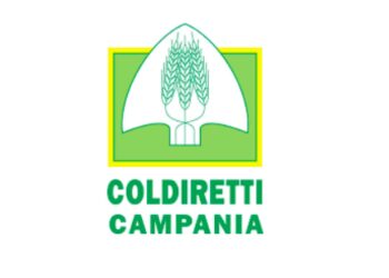 Coldiretti protesterà di fronte alla sede della Regione Campania contro i cinghiali