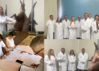 Il dialogo tra ASL Bari e Ambiti Territoriali di Caccia inizia a produrre risultati