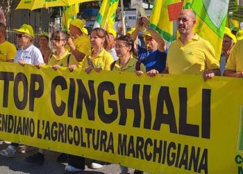 Cinghiali: 50mila agricoltori in piazza in tutta Italia in un solo mese