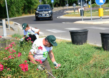 Giornata ecologica ad Adro-Torbiato (Brescia): i cacciatori ripuliscono boschi e vigneti