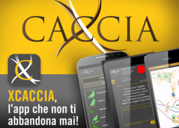 Caccia in Calabria: utilizzo del tesserino venatorio elettronico