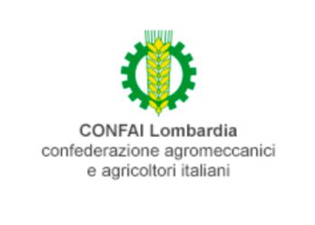 Lombardia, CONFAI: “Non abbassare la guardia sugli abbattimenti dei cinghiali”