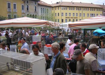 ‘Sagra dei Osei’ di Sacile: allevatori minacciano di incatenarsi per protesta