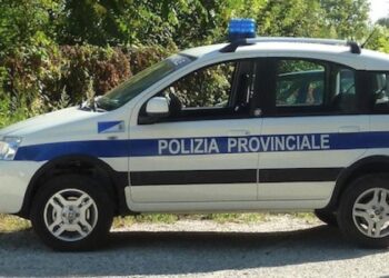 Operazione antibracconaggio nel Maceratese: sequestrati richiami acustici illegali