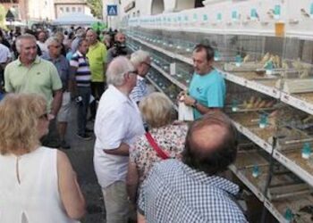 Sagra dei Osei di Sacile, per la prima volta nella storia salta la gara canora