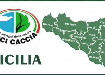 Arci Caccia Sicilia: “Complimenti alla Regione per la solida gestione dei calendari”