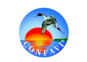 CONFAVI: “Cosa aspetta il Governo a ridare dignità ai cacciatori italiani?”