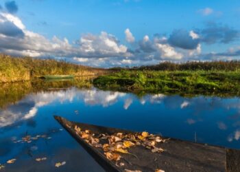 Il Centro Visite del Padule di Fucecchio riapre i battenti