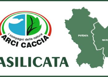 Arci Caccia Basilicata scrive alla Regione per le deroghe alla caccia al cinghiale