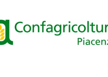 Peste suina, Confagricoltura Piacenza: “In Italia un atteggiamento superficiale”