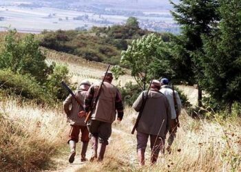 Caccia. Approvati gli accordi di reciprocità tra Toscana, Umbria e Lazio