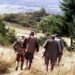 Caccia. Approvati gli accordi di reciprocità tra Toscana, Umbria e Lazio
