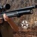 Stoeger AIRGUNS conquista il premio “AIR GUN OF THE YEAR” con la carabina XM1 SCOUT