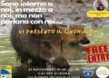 Sono intorno a noi, in mezzo a noi, ma non parlano con noi: il cinghiale