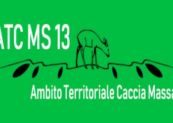 L’appello di FIDC Toscana-UCT per far ripartire la caccia al cinghiale nell’ATC Massa 13