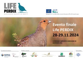Evento finale Life Perdix: il contributo fornito dall’ENCI
