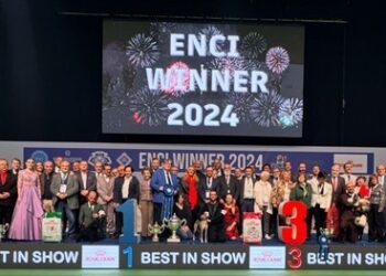 ENCI Winner 2024: la cinofilia italiana si dimostra ancora una volta di alto livello
