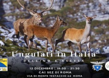 CAI Roma: ungulati in Italia, declino e ascesa