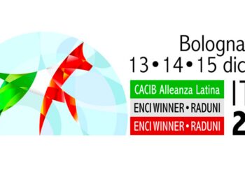 ENCI Winner 2024: a Bologna 42mila metri quadrati davvero imperdibili