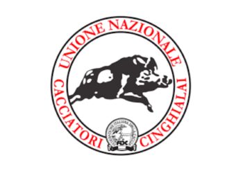 Ricostituita ufficialmente l’UNCC dedicata ai cinghialai