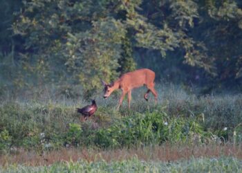 “A caccia di scatti”, proclamati i vincitori: un successo anche la seconda edizione