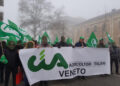 Influenza aviaria, CIA Veneto: “Avanti con il piano di contrasto”